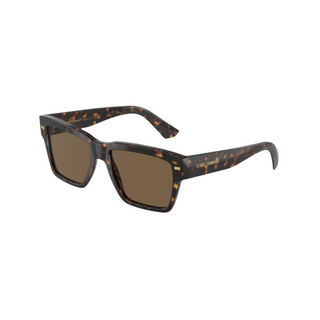 DOLCE & GABBANA DG4431 SUNGLASSES