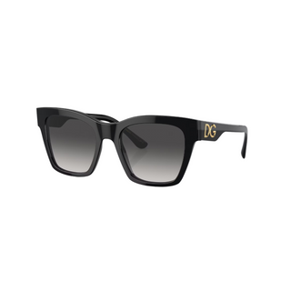 Dolce & Gabbana DG4384 Sunglasses