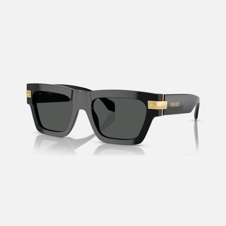 VERSACE Ve4464 Sunglasses